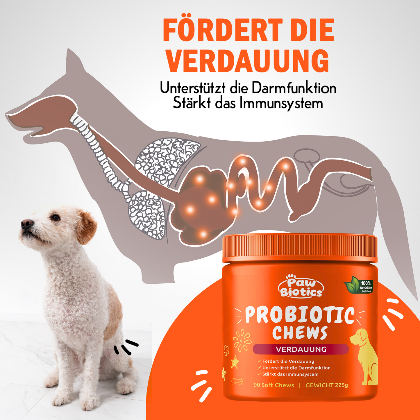Paw Biotics™ Probiotic Chews