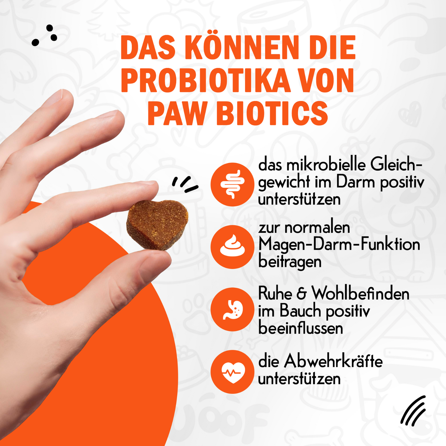 Paw Biotics™ Probiotic Chews