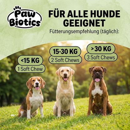 Paw Biotics™ Probiotic Chews