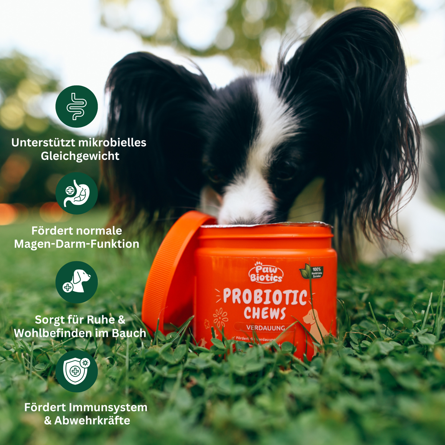 Paw Biotics™ Probiotic Chews