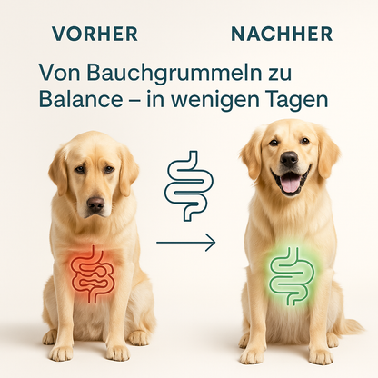 Paw Biotics™ Probiotic Chews