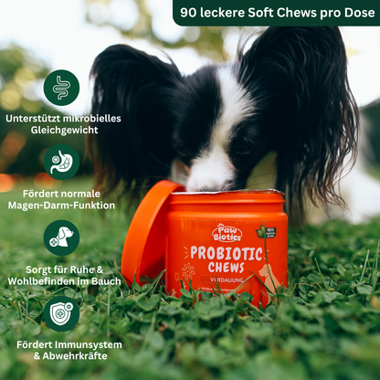 Paw Biotics™ Probiotic Chews