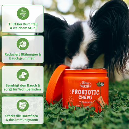 Paw Biotics™ Probiotic Chews